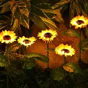 NightLight.webp