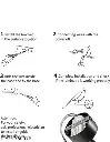 izc6y_512.webp