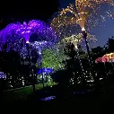 🌈 2 Pcs Garden Solar Jellyfish Lights – RGB 7-Color
