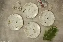 White & Golden Black Line Melamine Dinner Plates