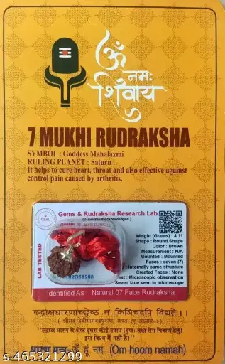 7 Mukhi Rudraksha Pendant – Lab Certified